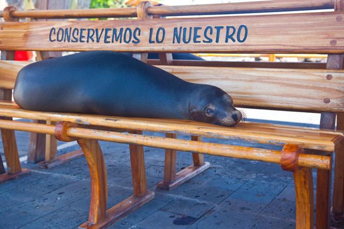 Casa Playa Los Marinos Puerto Baquerizo Moreno Eksteriør bilde